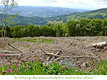 Le vert pays des cimes contemple la rondeur des collines